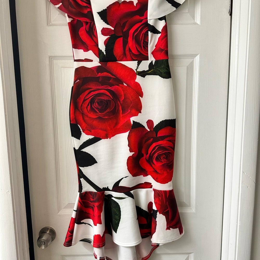 Elegant Red Rose Print Dress
